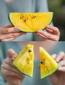 衢州公务员吃瓜,揭秘公务员食堂里的“小确幸”