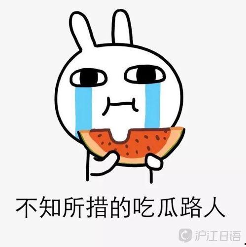 mommy吃瓜,揭秘娱乐圈那些事儿