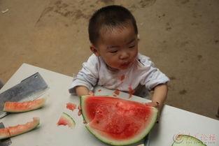 吃瓜王唐僧,揭秘取经路上的趣味故事